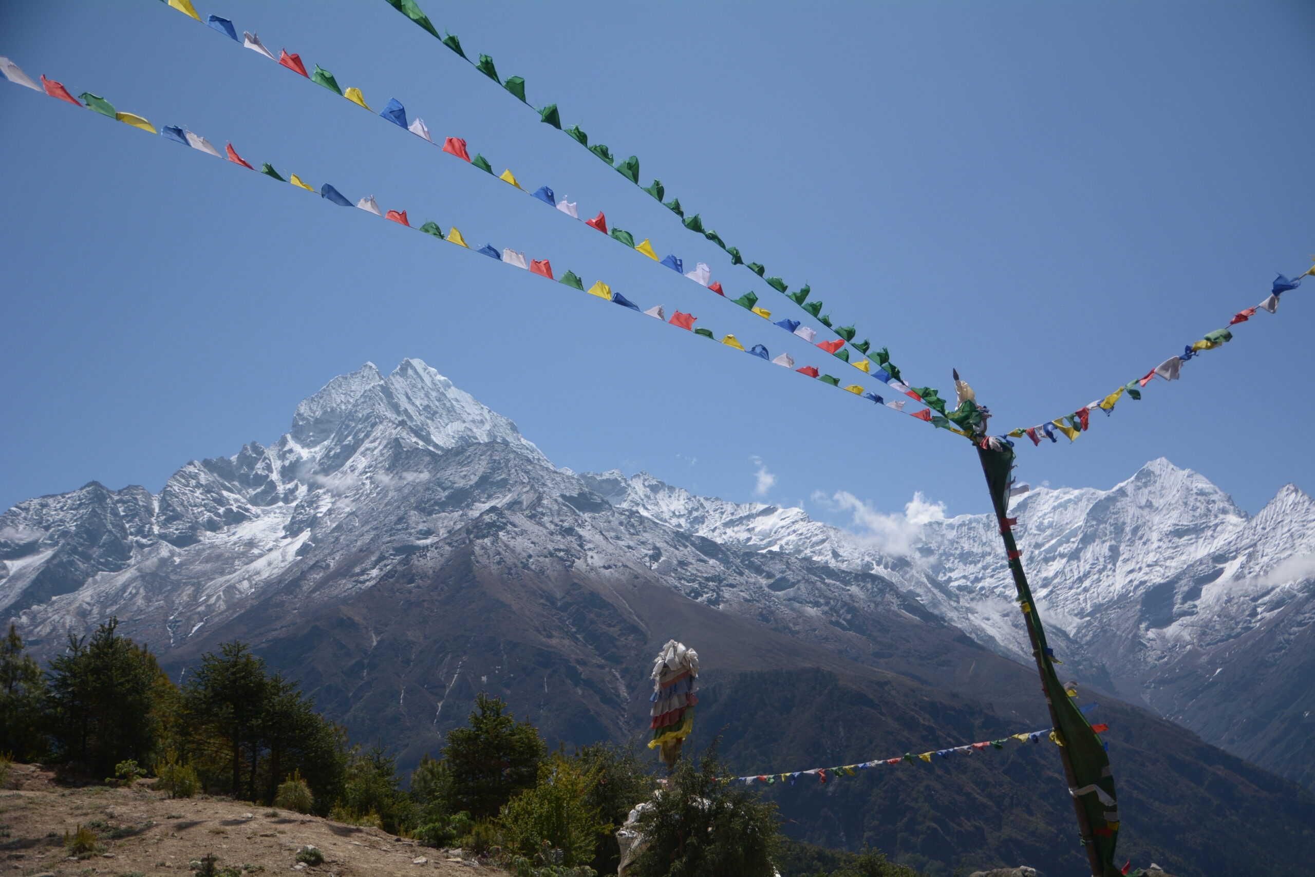 !! view_flag view flag scaled