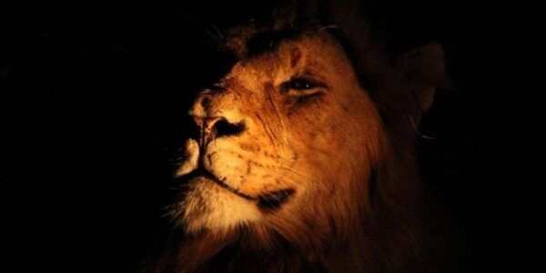 Пуленепробиваемая уверенность 2.0 | Онлайн Апрель 2022